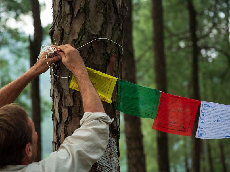 Circuit Trek dans l'Himalaya et réserve de Bardia pas cher photo 17
