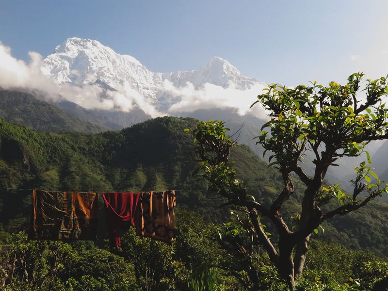 Circuit Trek dans l'Himalaya et réserve de Bardia pas cher photo 4