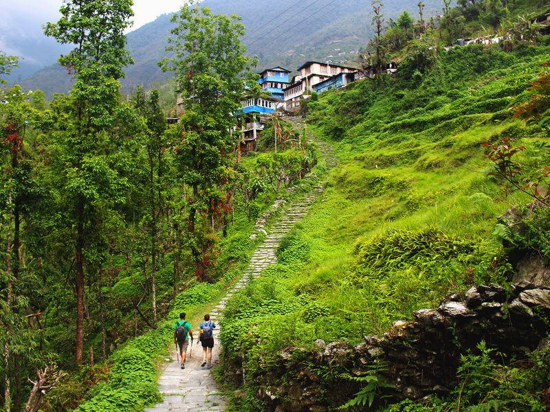 Circuit Trek dans l'Himalaya et réserve de Bardia pas cher photo 19