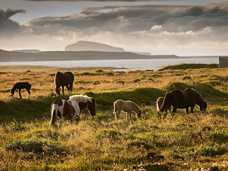 Autotour Merveilles du nord islandais 8 jours / 7 nuits pas cher photo 14