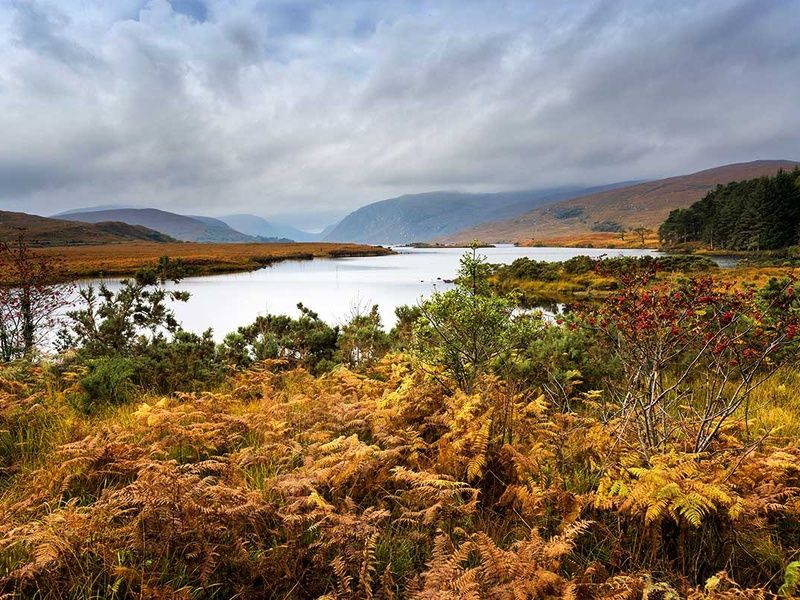 Autotour Road Trip Toute l'Irlande pas cher photo 18