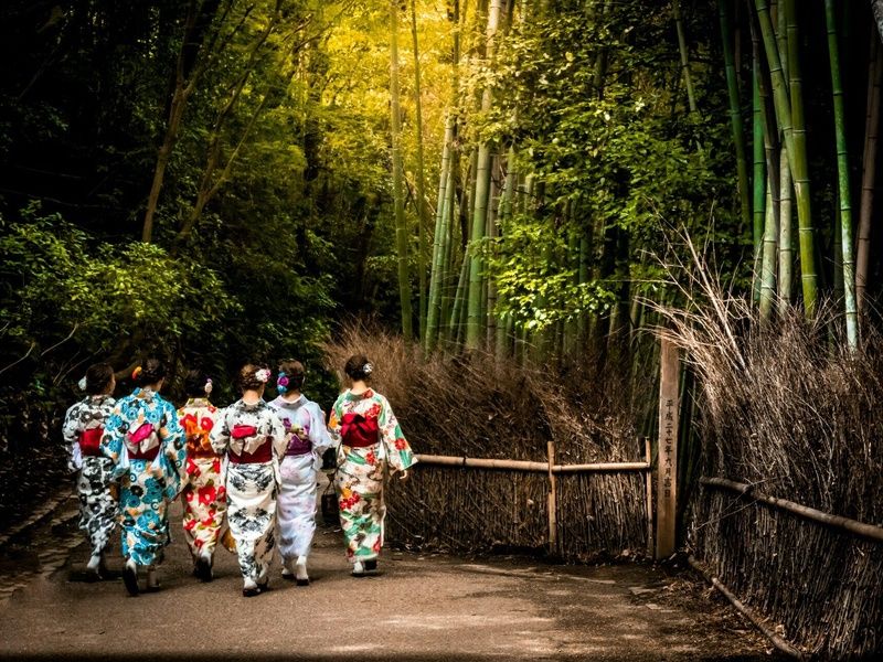 Arts et Traditions du Japon - Circuit individuel - Formule Essentielle pas cher photo 9