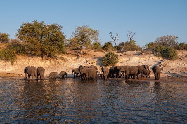 Chroniques d'Afrique Australe - Afrique du Sud, Zimbabwe, Eswatini pas cher photo 6