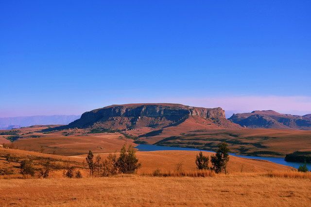 Chroniques d'Afrique Australe - Afrique du Sud, Zimbabwe, Eswatini pas cher photo 12