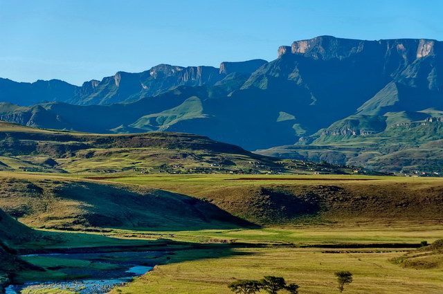 Chroniques d'Afrique Australe - Afrique du Sud, Zimbabwe, Eswatini pas cher photo 15