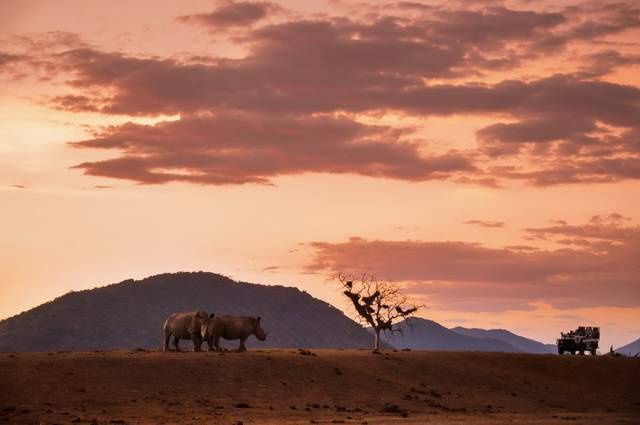 Chroniques d'Afrique Australe - Afrique du Sud, Zimbabwe, Eswatini pas cher photo 19