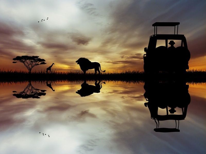 L'Afrique du Sud Intimiste - 13J/10N Limité à 16 pers. - A partir du 07/04/25 - Vols Long Courrier A pas cher photo 5