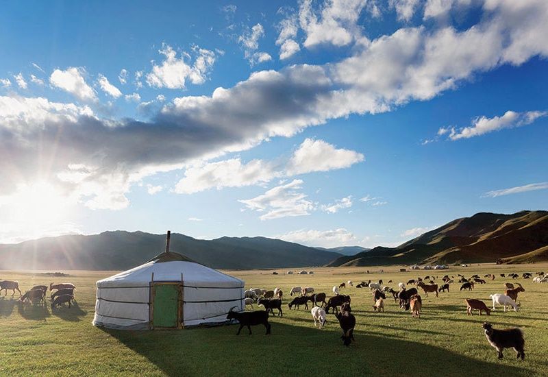 La Mongolie, au Pays du Grand Ciel (petit groupe - 6-12 pers.) pas cher photo 4