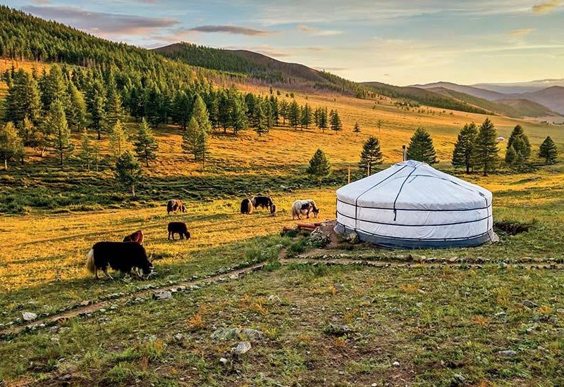 La Mongolie, au Pays du Grand Ciel (petit groupe - 6-12 pers.) pas cher photo 8