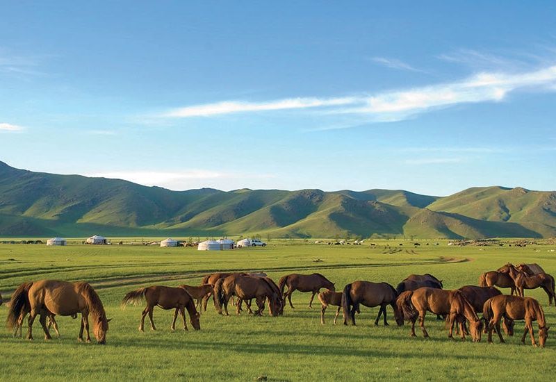 La Mongolie, au Pays du Grand Ciel (petit groupe - 6-12 pers.) pas cher photo 10