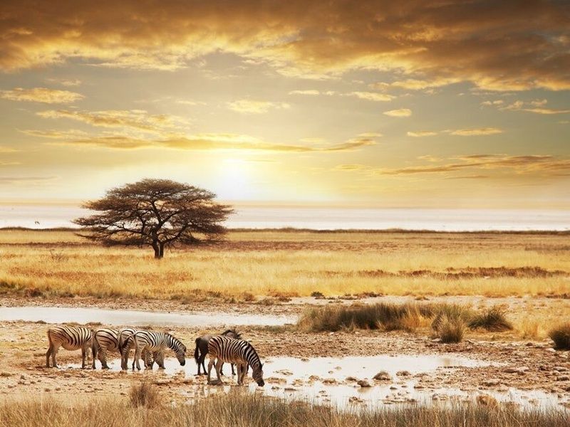 L'Afrique du Sud Intimiste & Chutes Victoria - 16J/13N Limité à 16 pers. (sauf sur la partie Victori pas cher photo 2