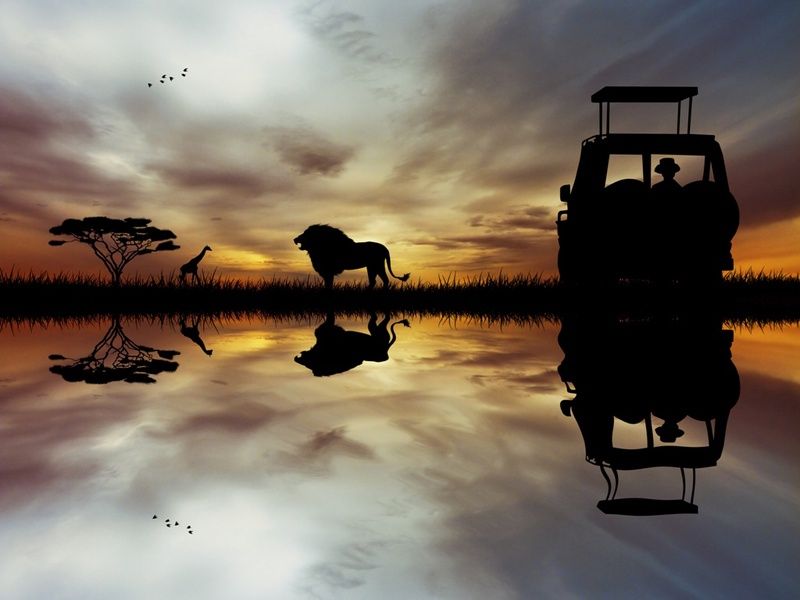 L'Afrique du Sud Intimiste, Chutes Victoria & Parc Chobe - 17J/14N Limité à 16 pers. (sauf sur la pa pas cher photo 3