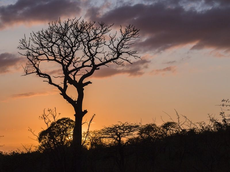 L'Afrique du Sud Intimiste, Chutes Victoria & Parc Chobe - 17J/14N Limité à 16 pers. (sauf sur la pa pas cher photo 6