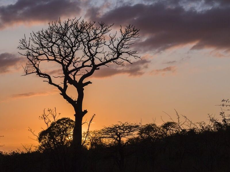 L'Afrique du Sud Intimiste, Chutes Victoria & Parc Chobe - 17J/14N Limité à 16 pers. (sauf sur la pa pas cher photo 9