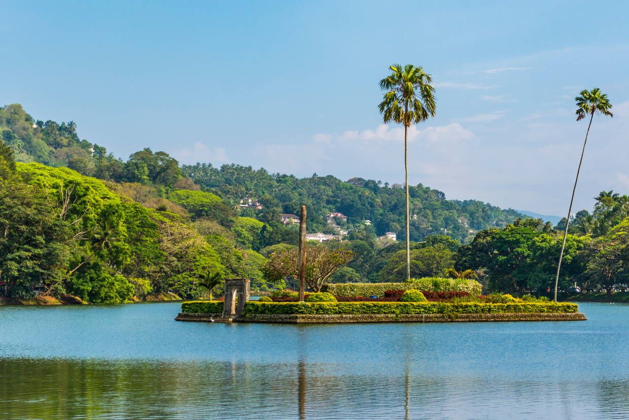 Circuit Merveilles du Sri Lanka pas cher photo 7