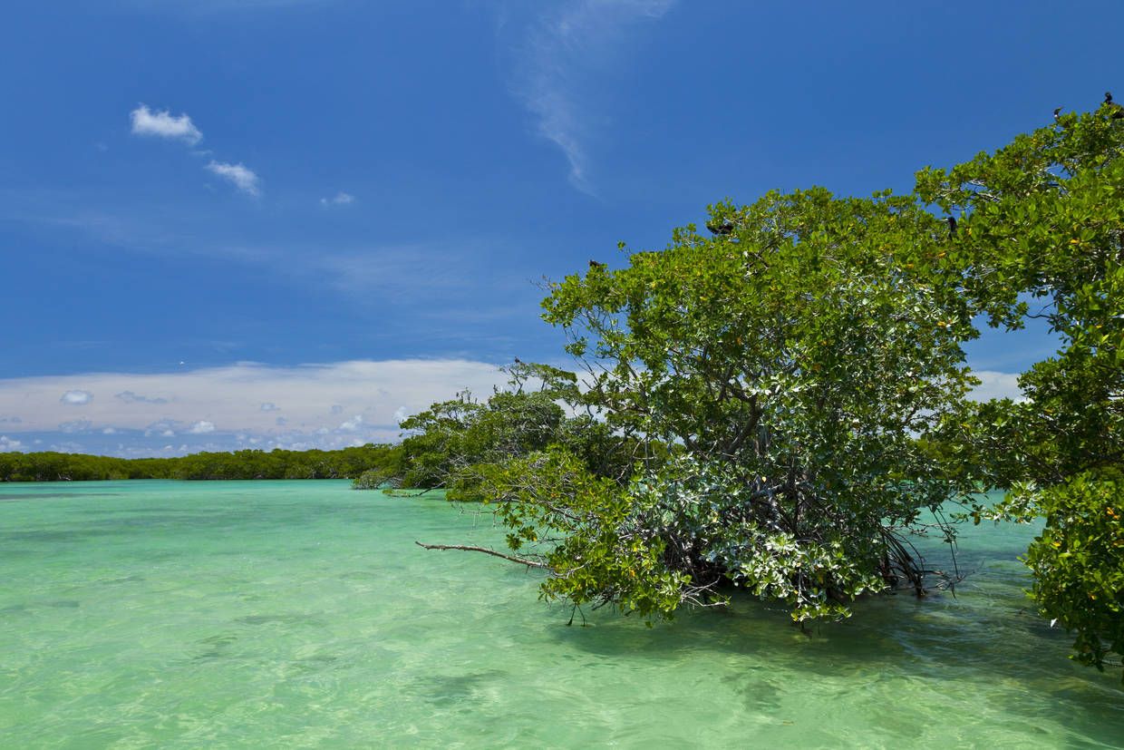 Circuit Beautés mayas et plage des Caraïbes (Logement au Framissima Viva Maya by Wynd... 4* pas cher photo 4