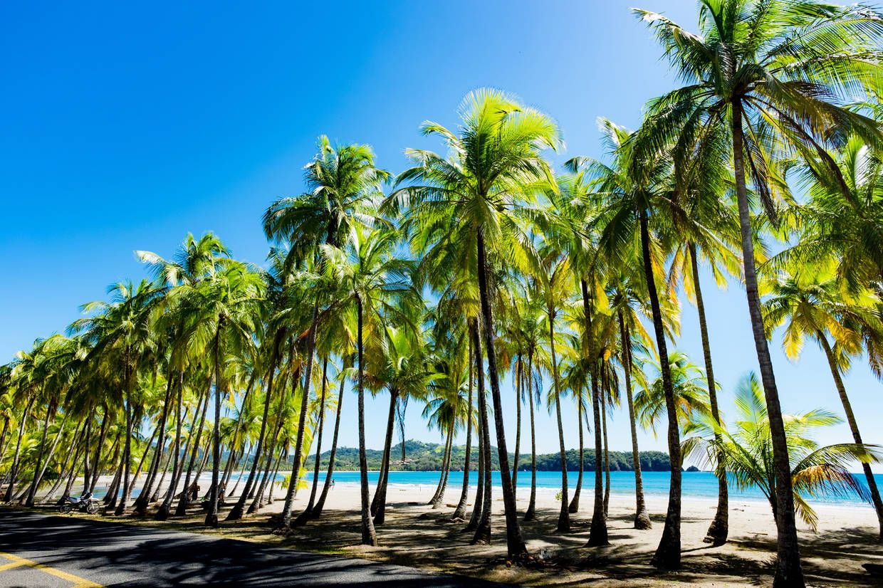 Circuit Beautés du Costa Rica et extension Puntarenas pas cher photo 1
