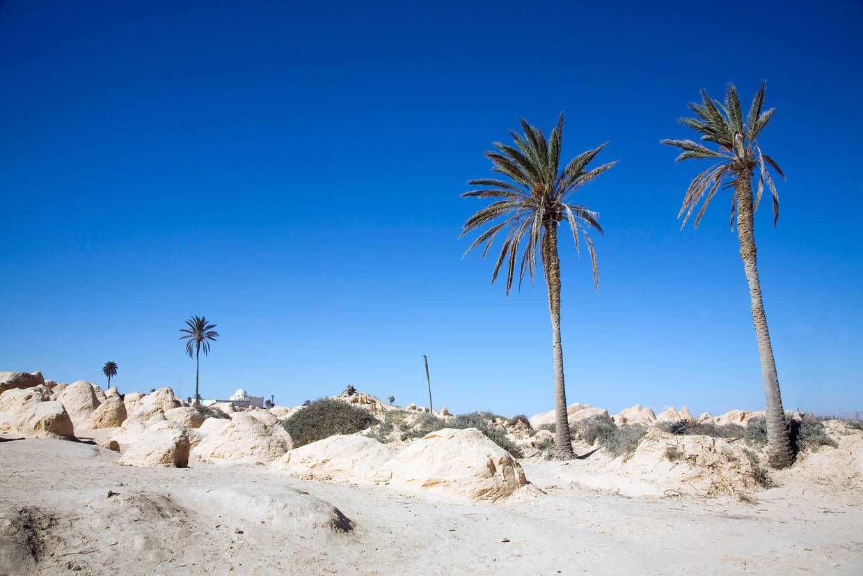 Circuit Trésors de Tunisie 3* pas cher photo 13