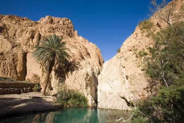 De Djerba à Tozeur : entre plage et désert pas cher photo 1