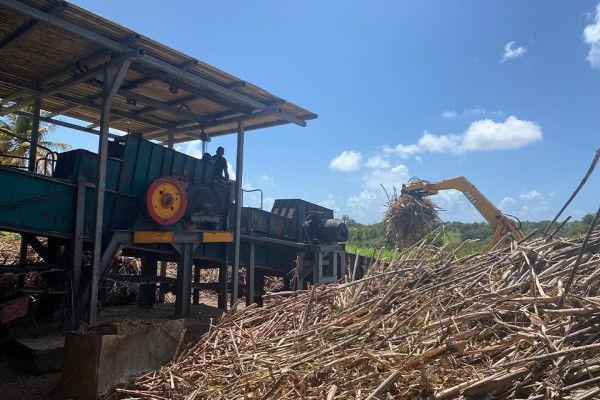 Autotour 5 Iles, 5 Ambiances - Zenitude Gosier pas cher photo 10