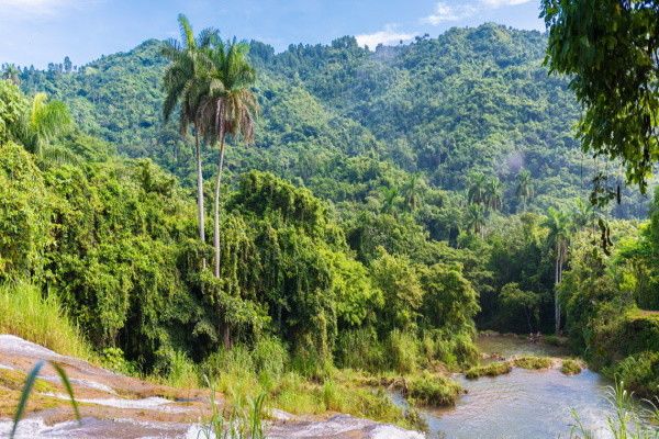 Circuit Circuit au Charme Cubain & Extension Melia Peninsula pas cher photo 2