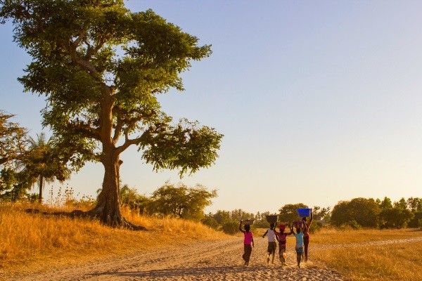 Circuit Au Coeur du Sénégal pas cher photo 10