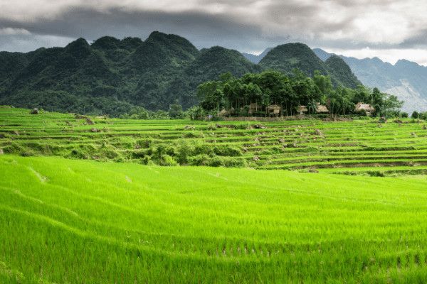 Circuit Vietnam Hors des Sentiers Battus pas cher photo 18