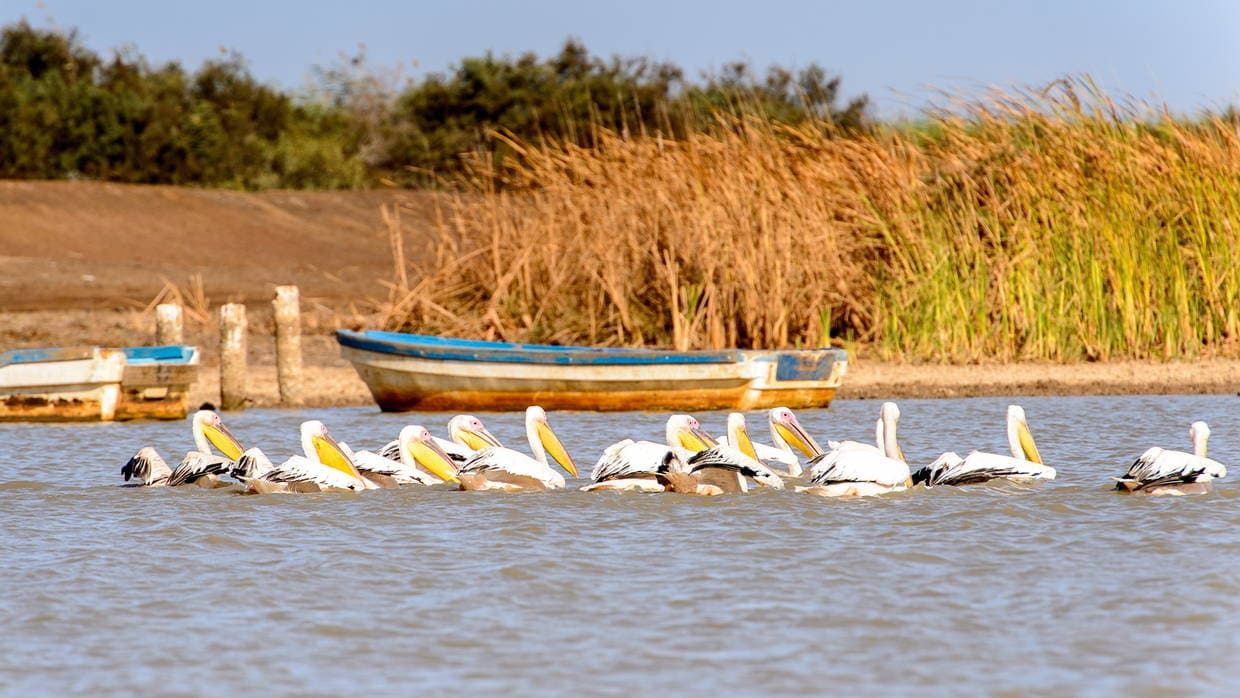 Circuit Les Oasis du Sénégal 3* pas cher photo 16