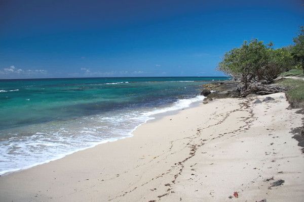 Combiné hôtels 2 îles - Guadeloupe & Martinique - Résidence Zenitude Le Prao 3* + Kar... 3* pas cher photo 37