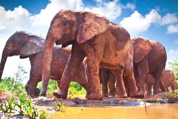 Circuit Aventures en famille pas cher photo 10