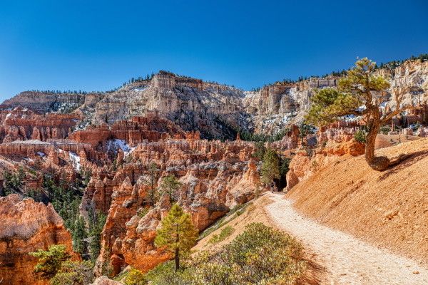 Circuit Ouest & Hawaï pas cher photo 15