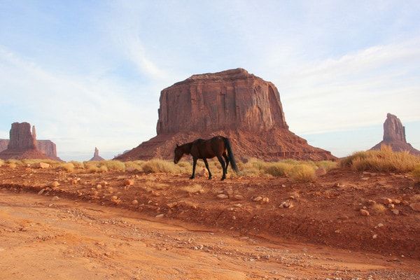 Circuit Ouest & Hawaï pas cher photo 22