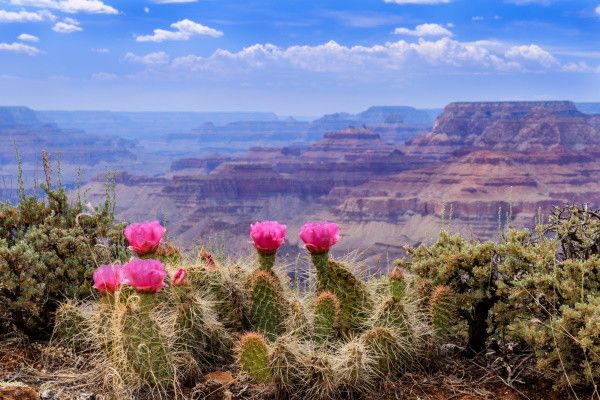 Circuit Grand Tour de l'Ouest + Ext. Côte Californienne pas cher photo 26