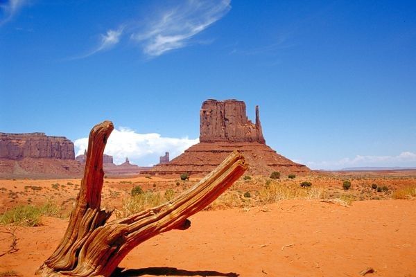 Circuit Grand Tour de l'Ouest + Ext. Côte Californienne pas cher photo 29