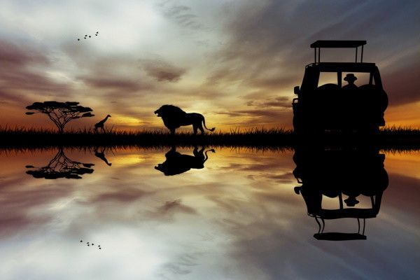 Circuit L'Afrique du Sud Intimiste pas cher photo 4