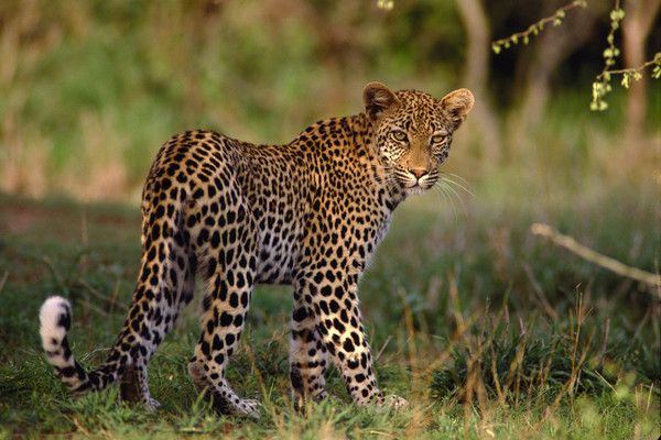 Circuit L'Afrique du Sud Intimiste pas cher photo 8