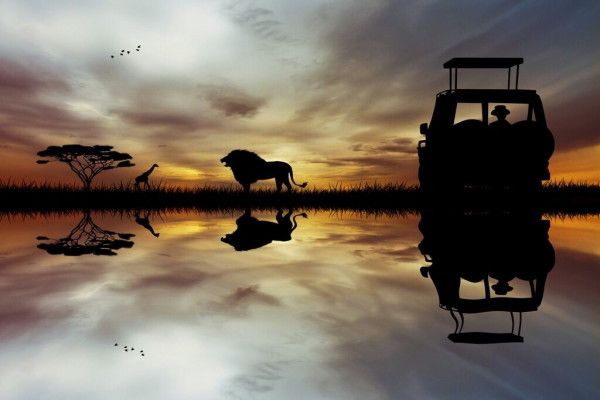 Circuit Grand Tour d'Afrique du Sud pas cher photo 11