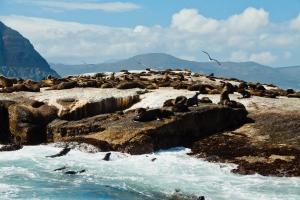 Circuit Grand Tour d'Afrique du Sud pas cher photo 17