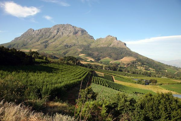 Circuit Grand Tour d'Afrique du Sud pas cher photo 24