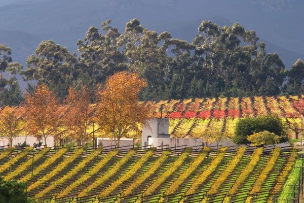 Circuit Grand Tour d'Afrique du Sud pas cher photo 26