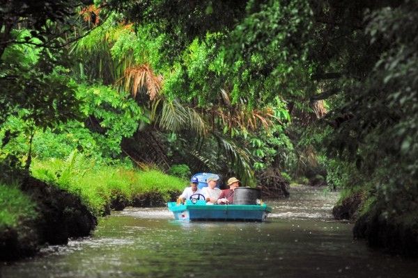 Autotour Sur la route du Costa Rica et Rincon de la Vieja pas cher photo 17