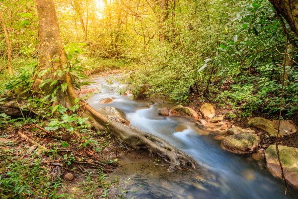 Circuit Cap sur le Costa Rica pas cher photo 17