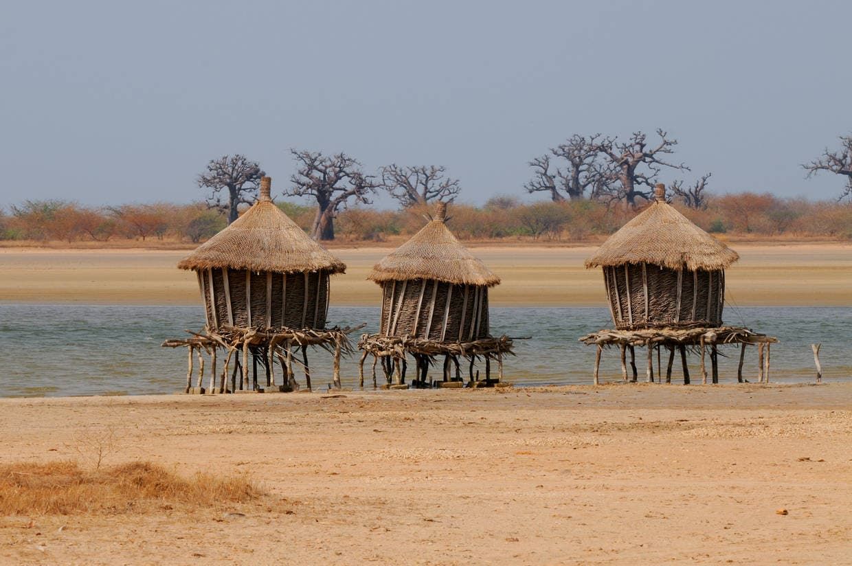 Circuit Beautés du Sénégal et balade avec les lions de Fathala en privatif pas cher photo 13