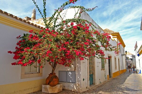 Circuit Echappée en Algarve (Alvor Baia) pas cher photo 3