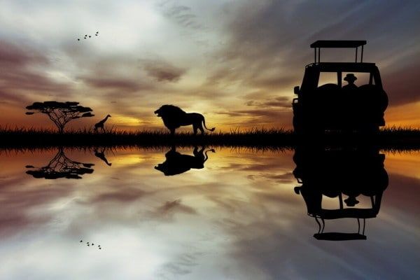 Circuit Grand Tour d'Afrique du Sud & Chutes Victoria pas cher photo 8