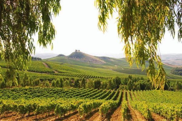 Autotour L'Essentiel de la Sicile 3* pas cher photo 4