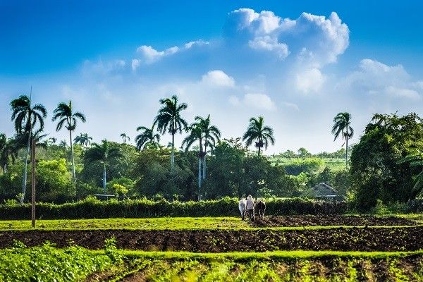 Combiné circuit et hôtel Circuit au charme Cubain et extension au Melia Marina Varade... pas cher photo 11