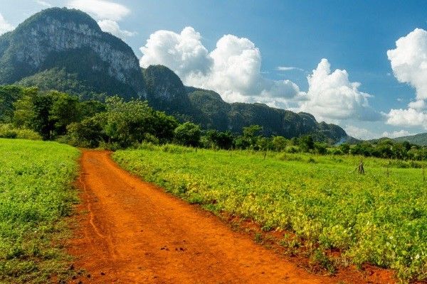 Combiné circuit et hôtel Circuit au charme Cubain et extension au Melia Marina Varade... pas cher photo 16