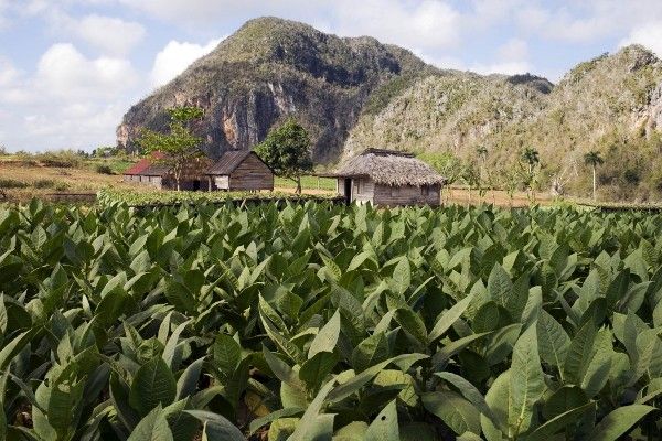 Combiné circuit et hôtel Circuit au charme Cubain et extension au Melia Marina Varade... pas cher photo 38