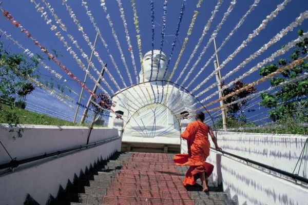 Circuit Coralia Expérience Srilankaise 5* & Extension Anantaya Resort & Spa 5* pas cher photo 16